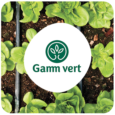 Gamme Vert